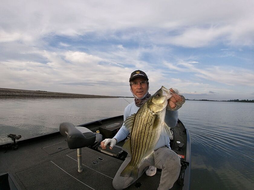Bob Johnson with a hybrid striped bass from Heidecke Lake on a surface bait. Provided photo