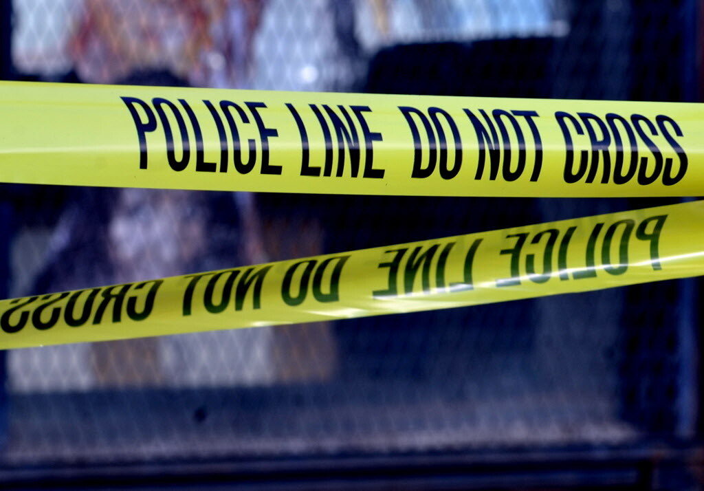 Chicago police fatally shoot dog that attacked them in Humboldt Park