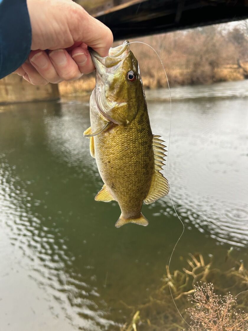 Pete Lamar with a December smallmouth bass from the Fox River. Provided photo