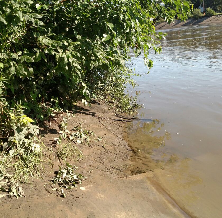 There are ways to approach fishing receding rivers, such as this scene Tuesday morning.<br>Credit: Dale Bowman