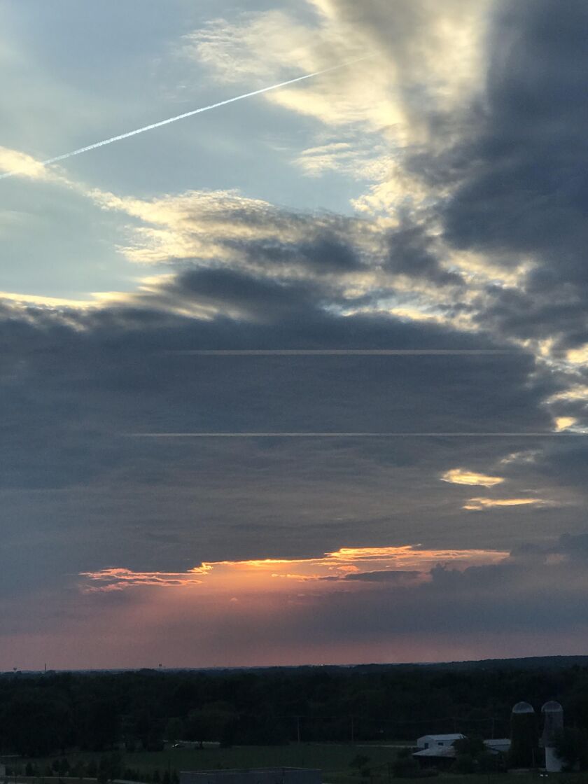 Nature photo of the week. Credit: T.J. O’Malley
