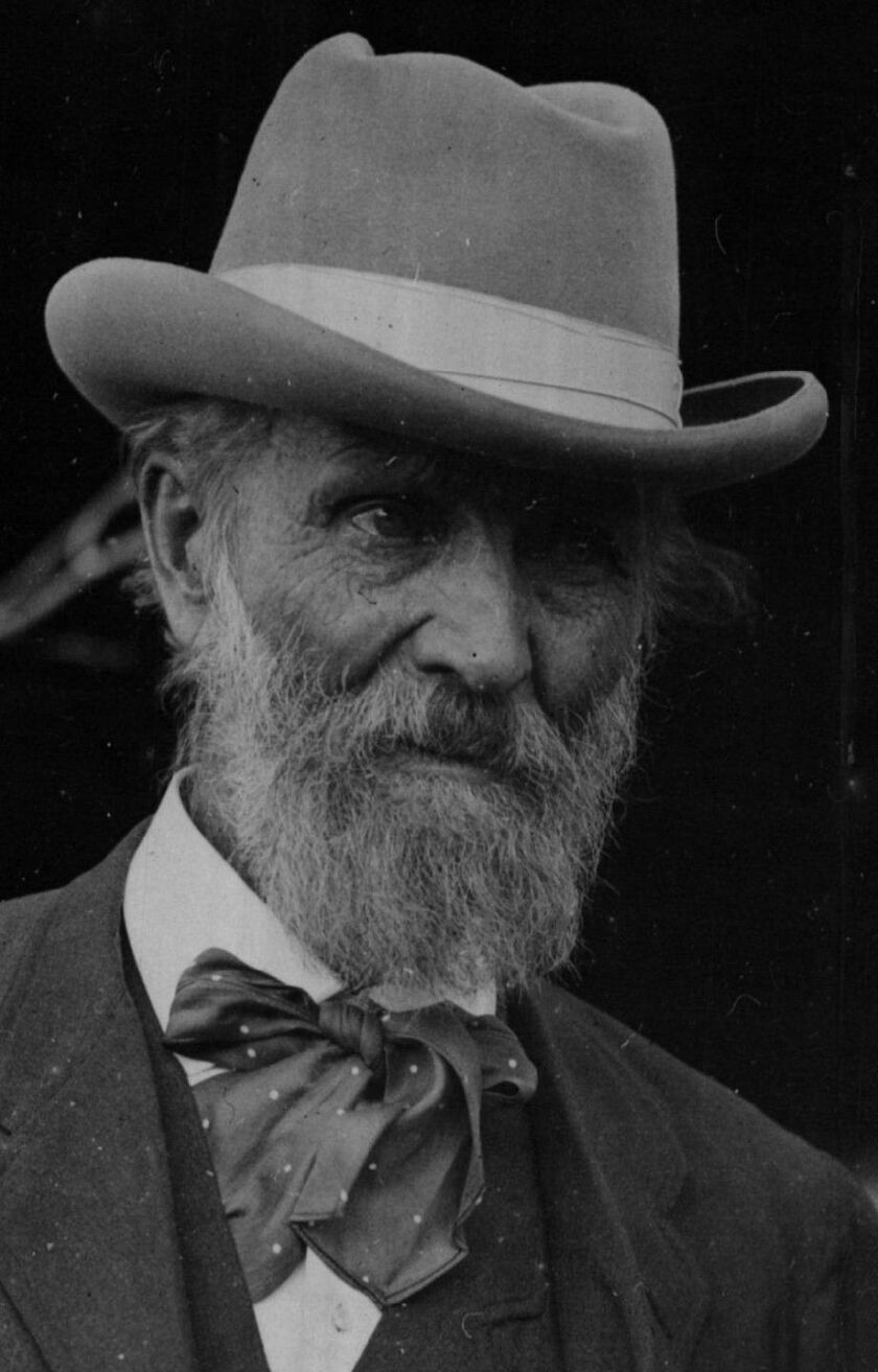 John Muir , the naturalist of the Pacific Coast. | Sun-Times library