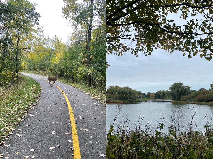 North_Branch_Trail.jpg