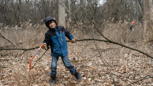 Gideon Majka-Lauterbach, 10, drags a tree branch to a fire. "To be honest, Valentine's Day is my least favorite holiday," he says.