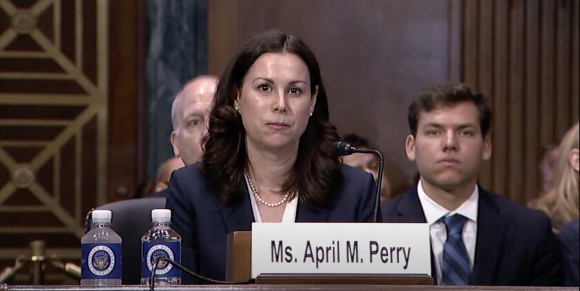 April Perry Speaks to the Senate Judiciary Committee July 31, 2024.