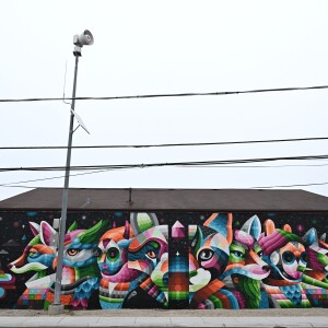 A mural by Eelco van den Berg is on a Highwood building.