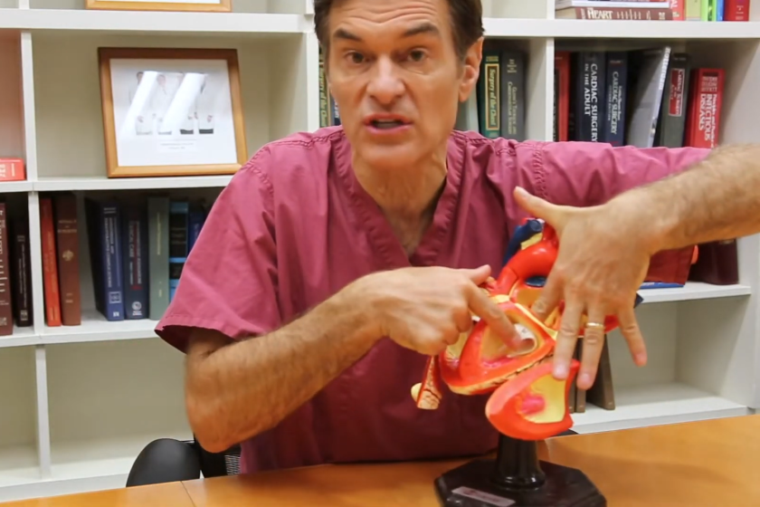 Abbott Labs' MitraClip heart valve has had a contentious path