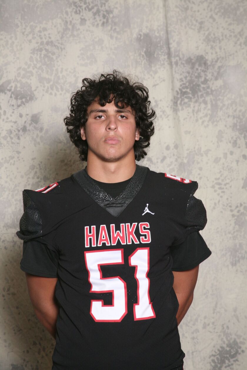 Teddy Gianaris, Maine South