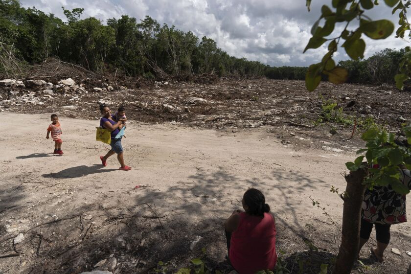 Lidia Caamal Puc sits on a dirt road in her community of Vida y Esperanza, where forest was cleared for the Maya Train route in Quintana Roo state, Mexico. “I think that there is nothing Maya” about the train, Puc said. “Some people say it will bring great benefits, but, for us Mayas that work the land, that live here, we don’t see any benefits. Rather, it will hurt us because, how should I put it, they are taking away what we love so much, the land.”