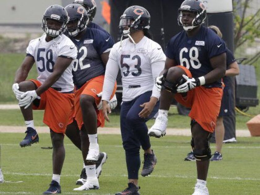 The Bears’ Roquan Smith, John Timu, and James Daniels (left to right) stretch during practice at the NFL football team’s OTAs in May. | Charles Rex Arbogast, AP photo