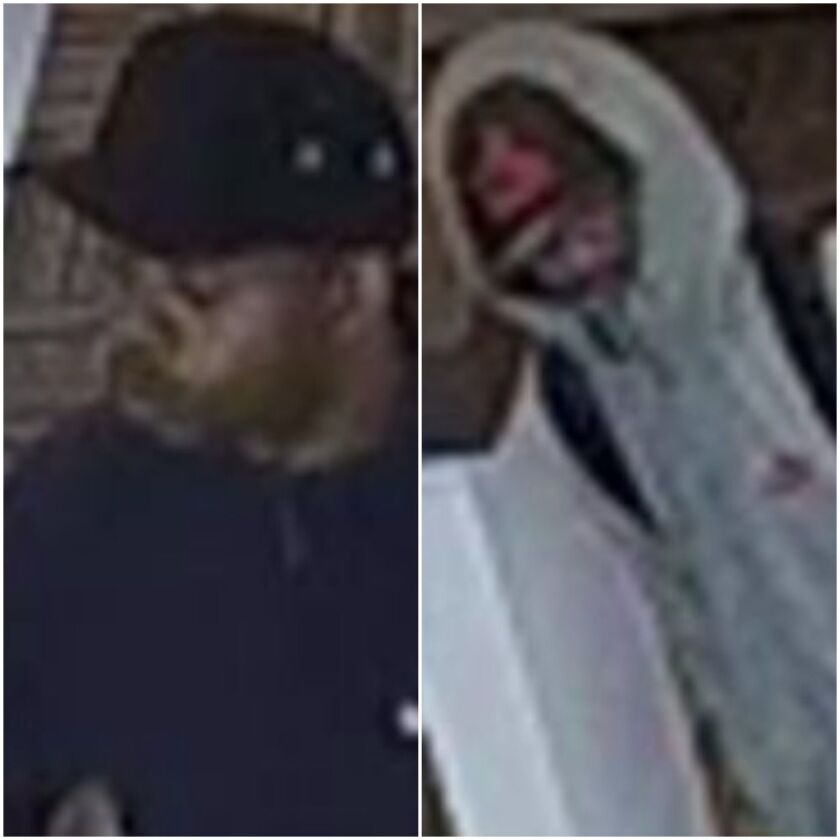 Surveillance footage shows two of the males who robbed a cellphone store Wednesday in south suburban Peotone. | Peotone police
