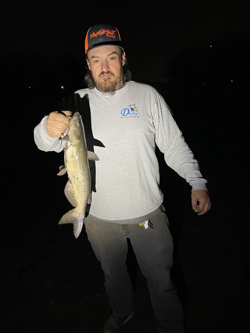 Catfish from the Montgomery dam area on the Fox River. Provided by Dicky’s Bait Shop