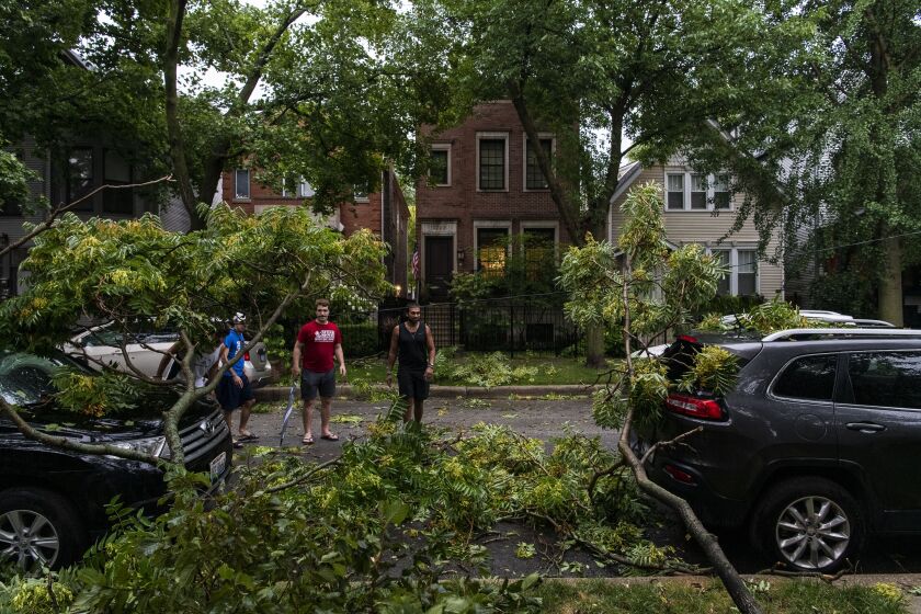 A group of neighbors survey the damage near West Schubert and North Magnolia avenues after a tornado with peak winds of 110 miles per hour touched down in Rogers Park, Monday afternoon, Aug. 10, 2020.