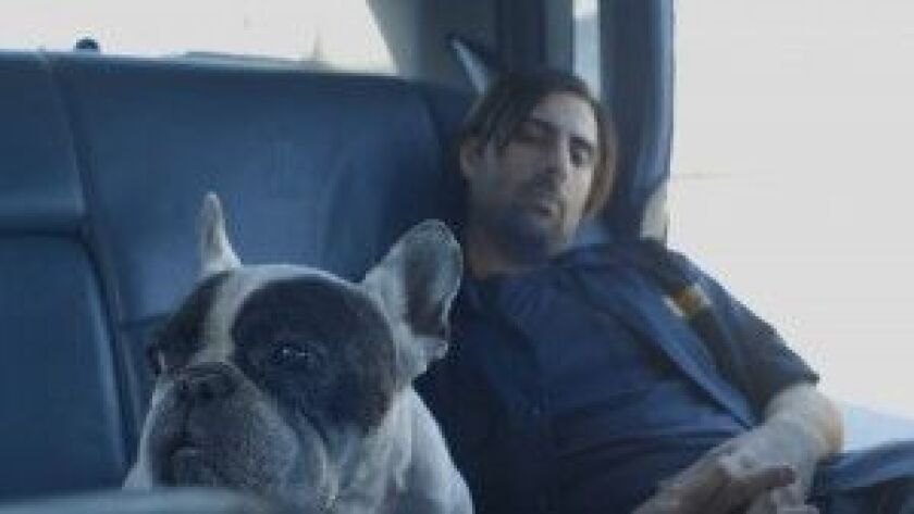 Jason Schwartzman’s real-life canine companion Arrow, steals every scene he’s in in “7 Chinese Brothers.” | SCREEN MEDIA FILMS