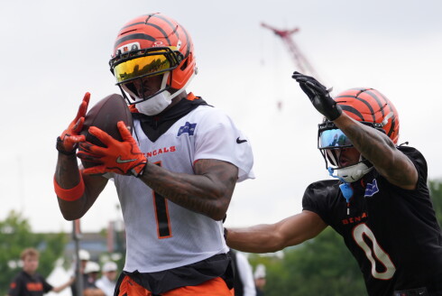 Bengals Camp Football