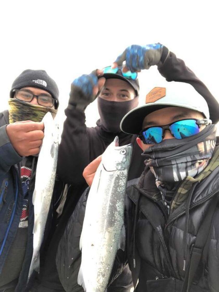 Jason “Special One” Le sent this photo from Montrose Harbor on Tuesday. Provided by Jason “Special One” Le