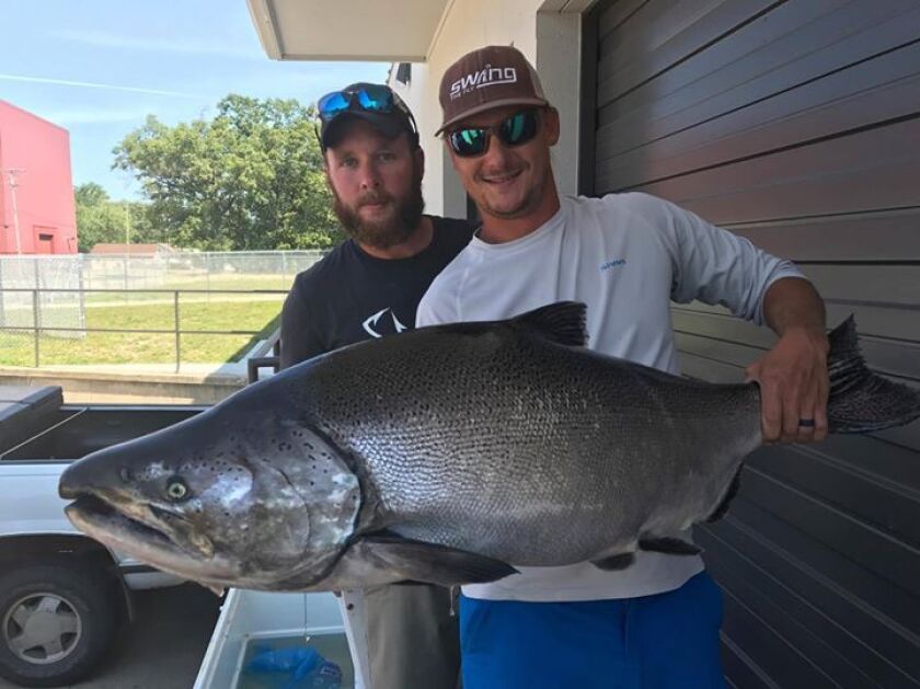 king41pounds.jpg