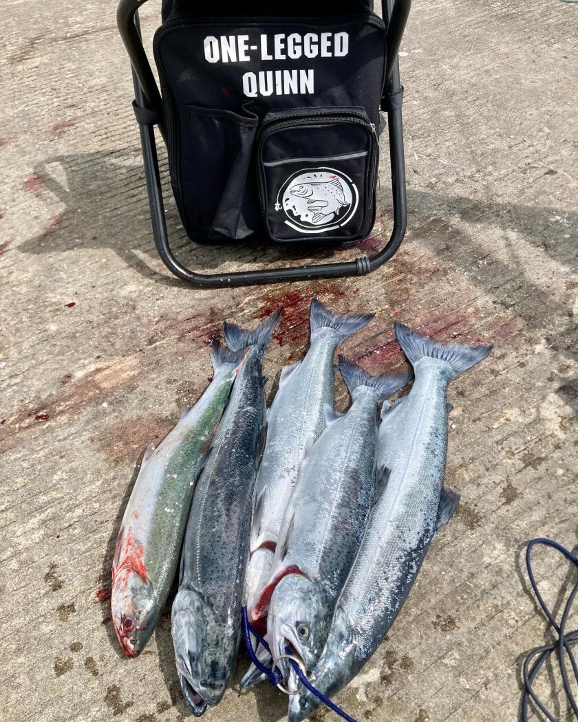 Quinn Wunar’s ACL chair with coho. Provided photo
