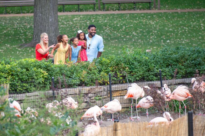 2021_0914_Lincoln_Park_Zoo_35.jpg