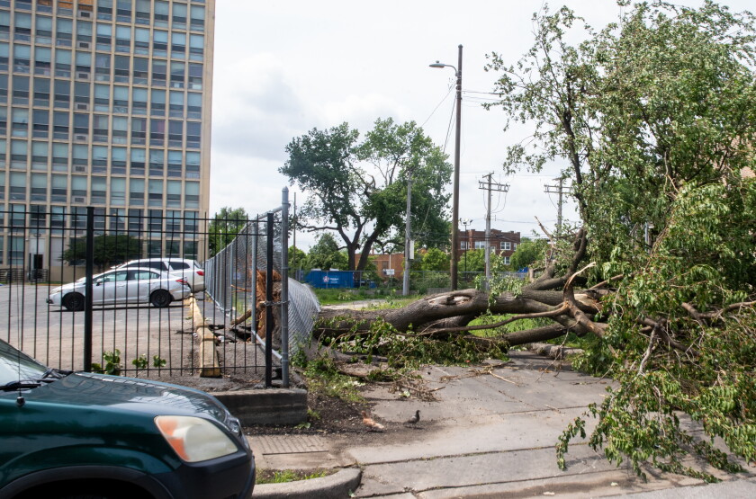 Chicago Trees Exploding Chicago area hit by at least 17 tornadoes in two days; 58,000 ComEd ...