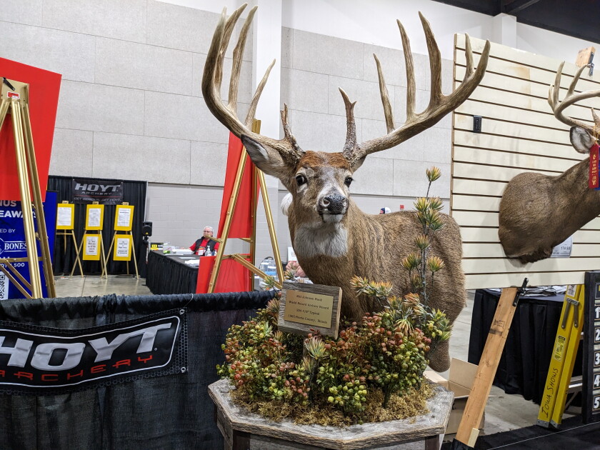 A replica of the Mel Johnson’s world-record typical buck at the Illinois Deer Classic at the Peoria Civic Center. Credit: Dale Bowman