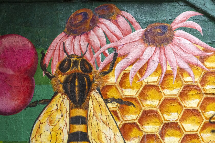 A bee, honeycombs and pink flowers appear on a mural painted under a Portage Park viaduct.