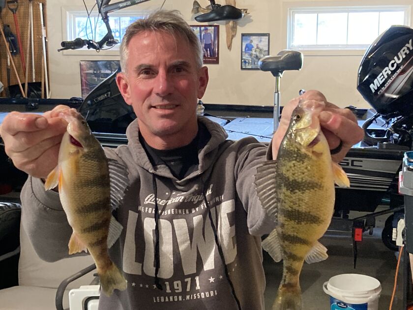 Bob Johnson with some of the quality perch from southern Lake Michigan. Provided photo