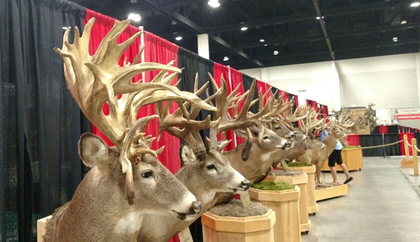 Whitetails of North America Record Deer Display.<br>Credit: Dale Bowman