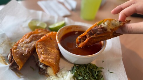 Quesabirria at La Katrina Autentica inside of Little Joe’s in Little Italy