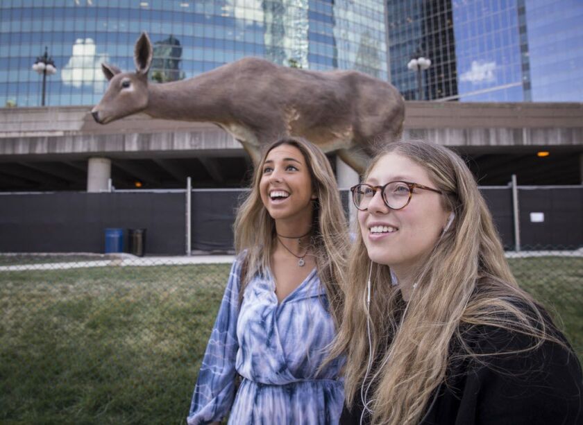 “Deer” by artist Tony Tasset, made of fiberglass, epoxy and paint, was recently installed along the Riverwalk near Wolf Point. Gabby Greif, left, and Liza Berkelhamer spoke to Mark Brown. | Rich Hein/Sun-Times