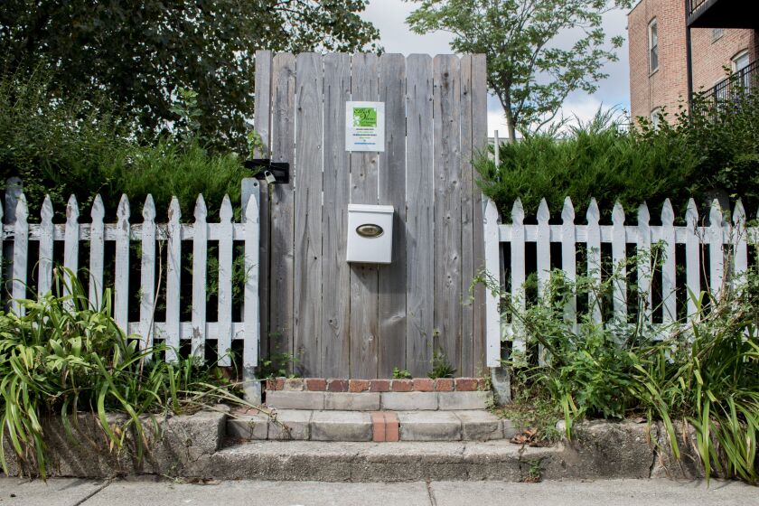 Ellis View Community Garden in Woodlawn, on a property bought through the Large Lot Program. | Manny Ramos / Sun-Times