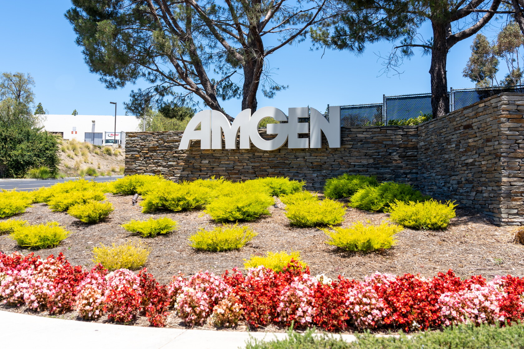 Amn Gene Amgen plows ahead with costly, highly toxic cancer drug dosing despite ...