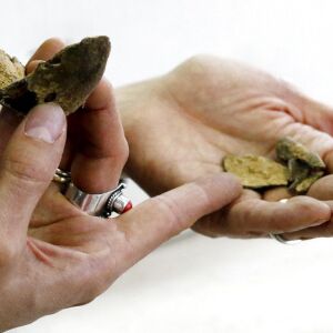 A portion of a mandible extracted from one of the graves unearthed. | AP/Rogelio V. Solis