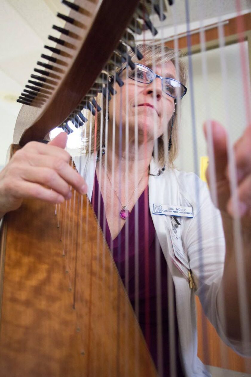 Sue Wohld plays the harp for a patient in intensive care at Loyola University Medical Center in Maywood. | James Foster / Sun-Times