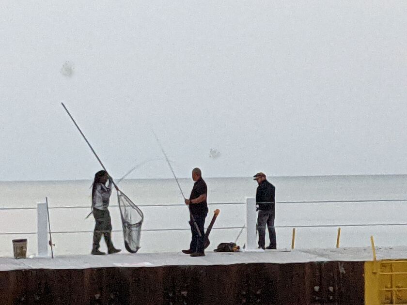 An angler walks back the jetty right after netting a Chinook at the mouth of Jackson Park Harbor Sunday morning. Credit: Dale Bowman