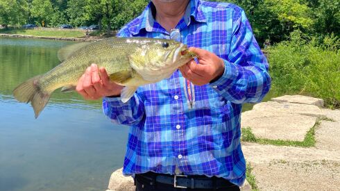 Jesse Granato with a good largemouth bass from Maple Lake. Provided photo