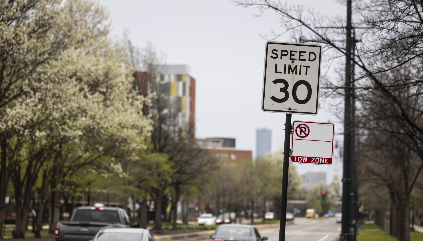 Should Chicago lower its standard speed limit to 25 mph? Should Chicago lower its standard speed limit to 25 mph?
