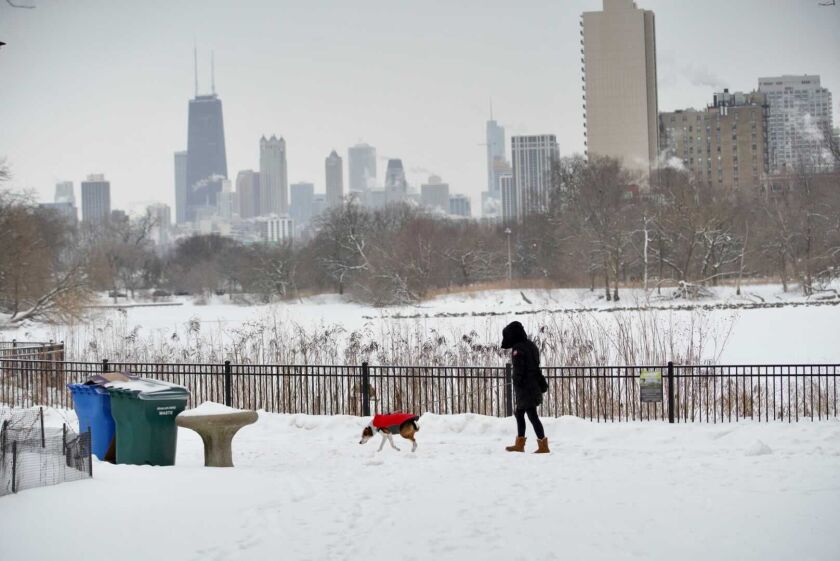 A person walks their dog Saturday morning in Lincoln Park.