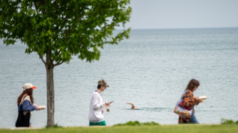 People walk along Foster Beach while a man swims in Lake Michigan on Saturday, May 9, 2026.