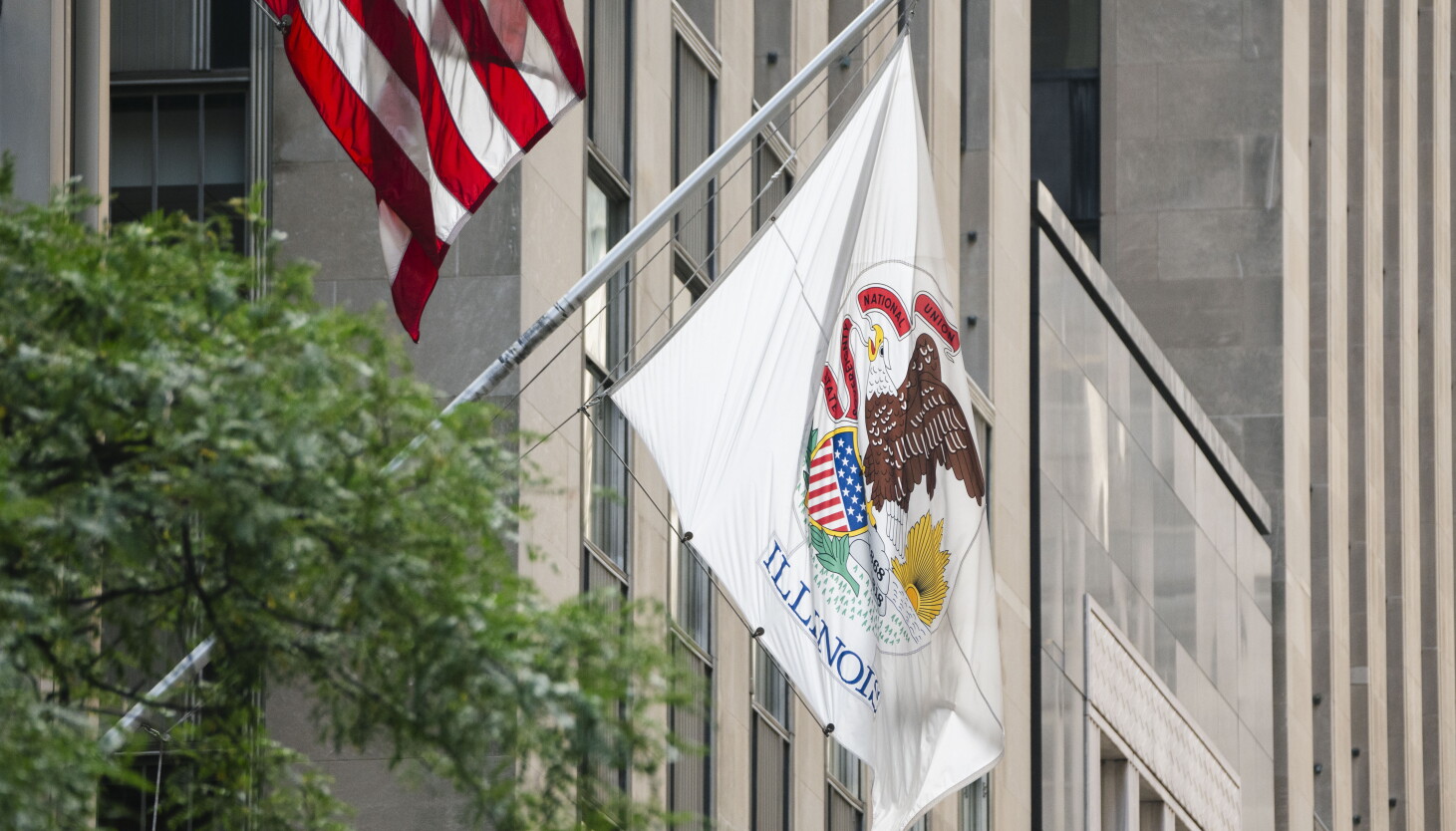 Cst Flags The Rundown: What makes a good state flag design - WBEZ Chicago
