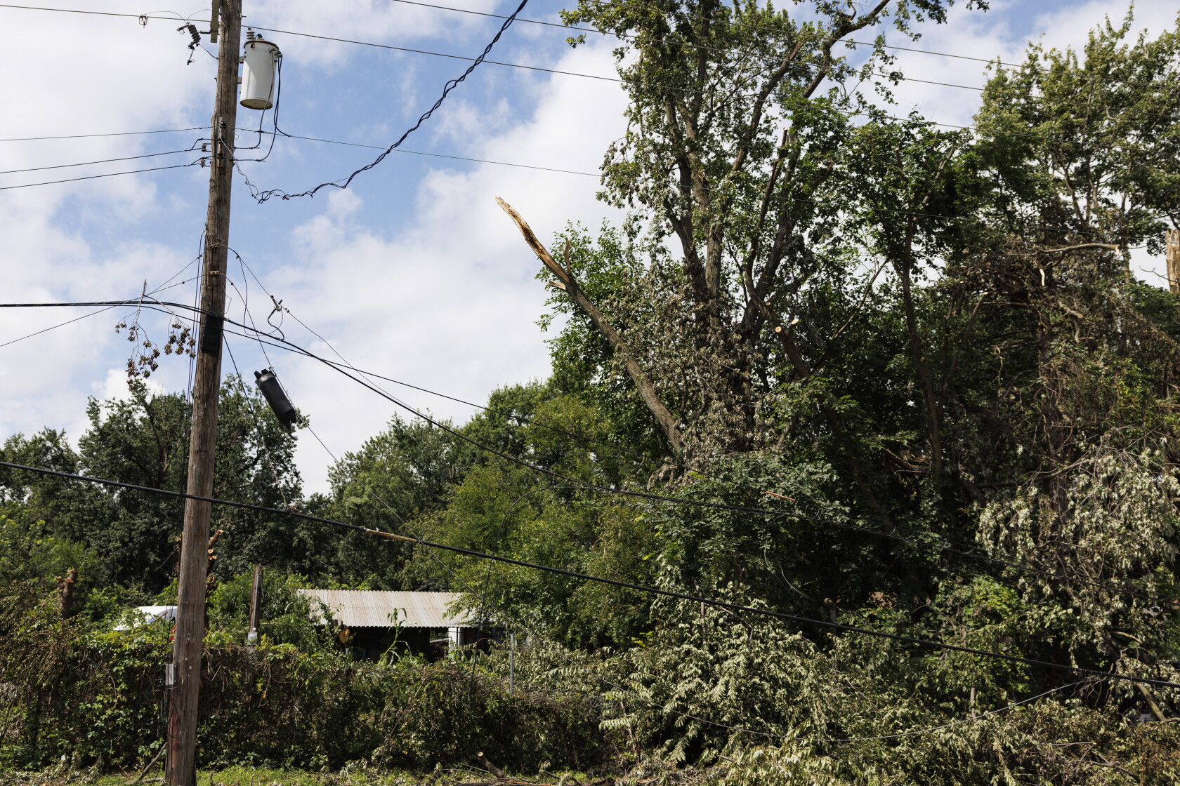 Quality Failures Tree Indiana utility failed to protect power lines from tree hazard, lawsuit ...