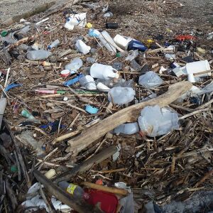 Plastic_pollution_on_beach___PC_Nate_Drag___Alliance_for_the_Great_Lakes_1_.jpg