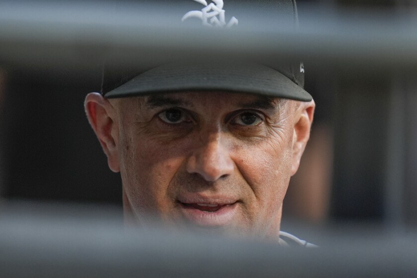 Excited baseball fans at a Chicago White Sox game in 2025