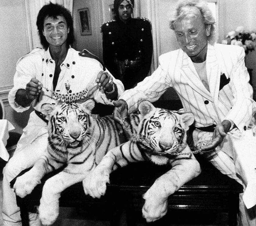 Magicians Roy Horn (left) and Siegfried Fischbacher pose in New York with their rare white tigers, Neva (left) and Vegas, in 1987.