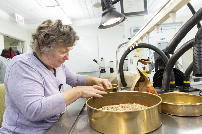 Seed Rauff A network is racing to save the Midwest’s native seeds - WBEZ Chicago