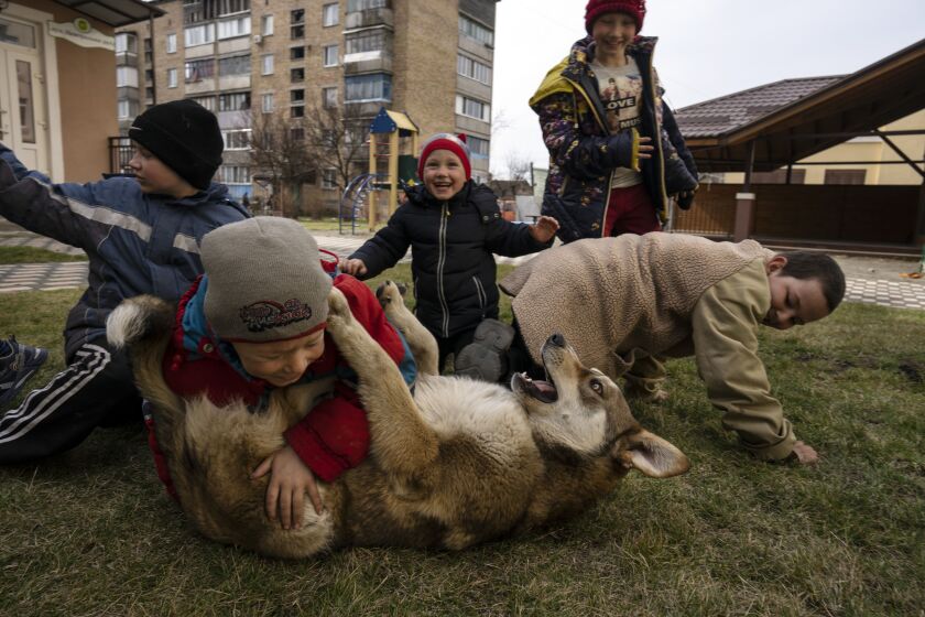 Children play with a dog in Bucha.