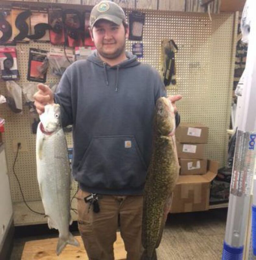 Ken Maggiore holding his 7.5-pound whitefish (left) and 9.3-pound burbot after both were weighed on the certified scale at Henry’s Sports and Bait Shop.<br>Credit: Courtesy Henry’s Sports and Bait Shop