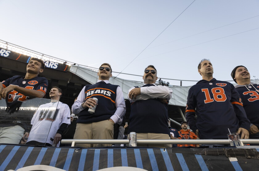 BEARS_2610230279.jpg