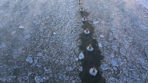 COLD_260124-7.jpg