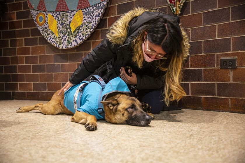 Nelly Roa kneels next to her dog, Toby, at the 14th District police station.